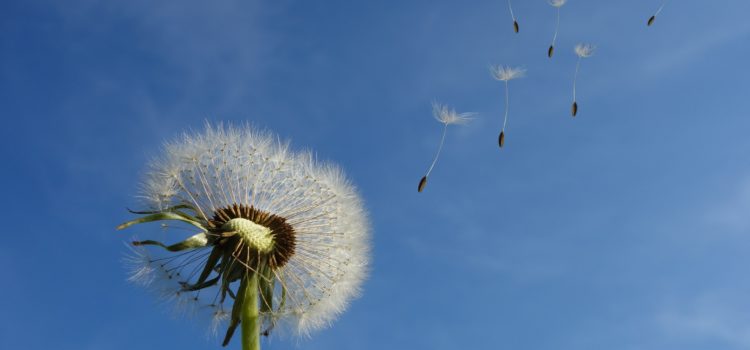 Gibt es einen Zusammenhang zwischen Vasektomie und Prostatakarzinom?